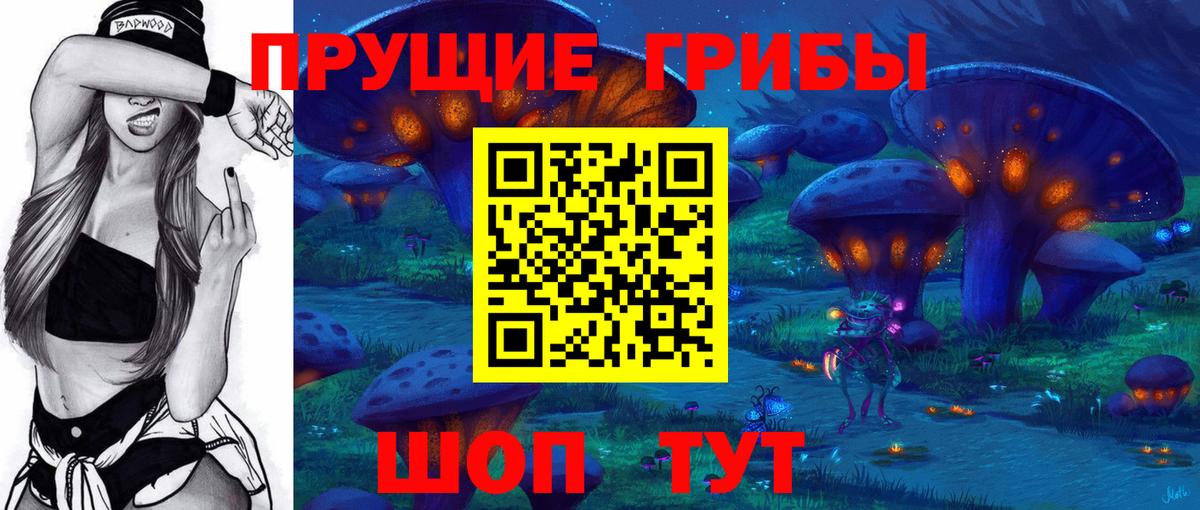 Псилоцибиновые грибы Cubensis Коряжма
