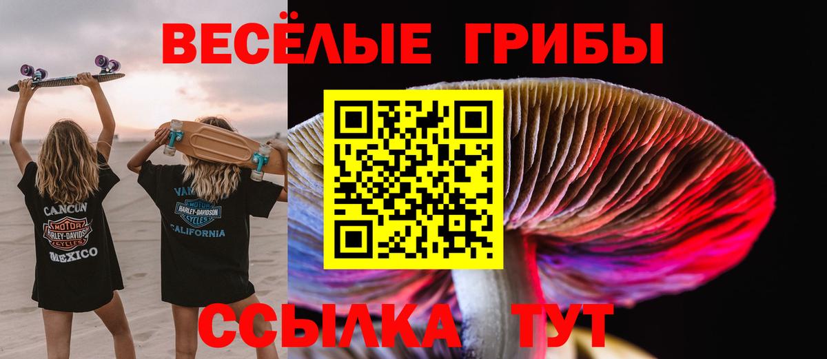 закладки  Псилоцибиновые грибы Psilocybine cubensis  Вход с VPN  Коряжма 