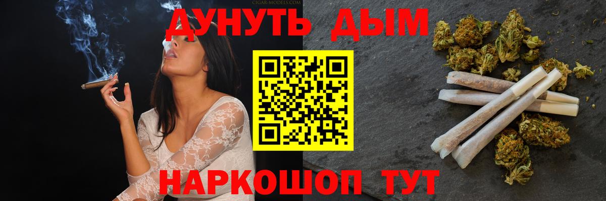 Каннабис план Коряжма